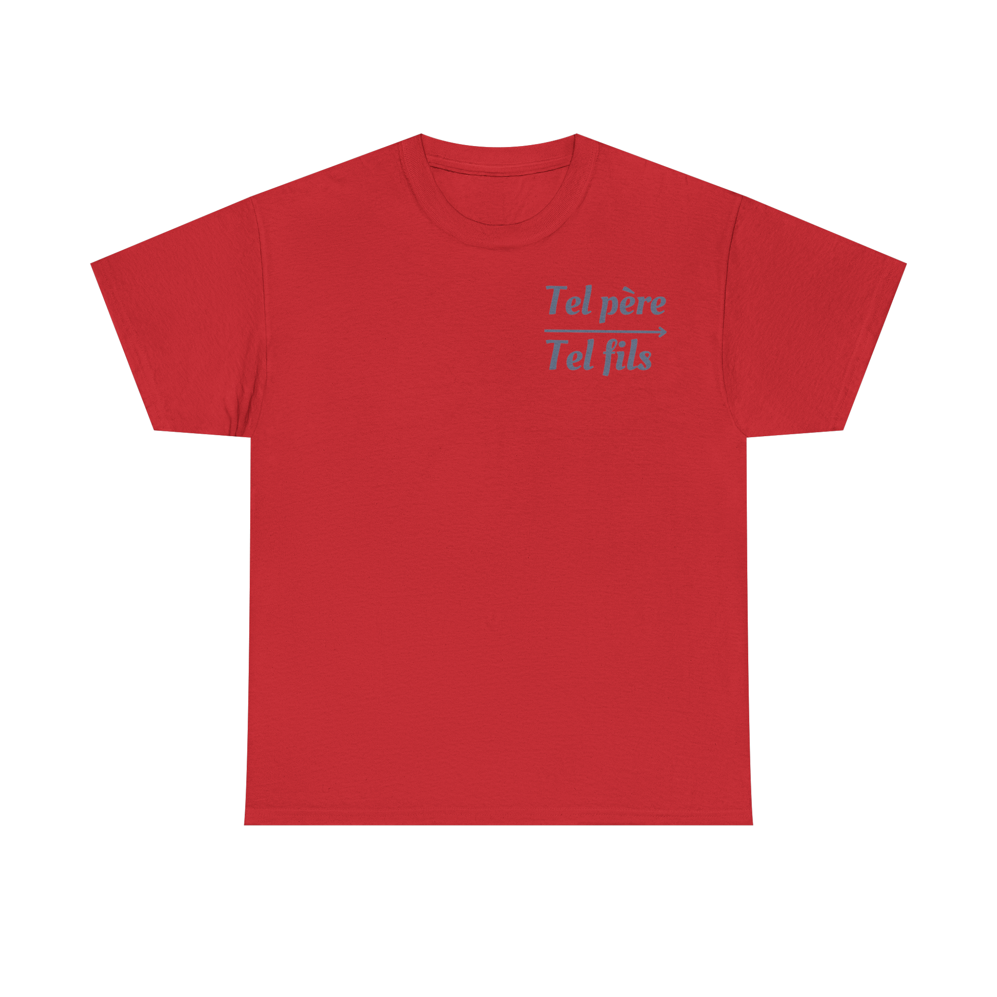 T-shirt Tel père tel fils collection bébé dans la main